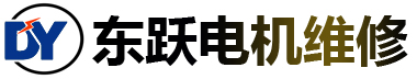 新疆东跃电机有限公司