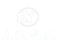 新疆东跃电机有限公司